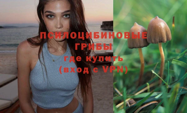 ПСИЛОЦИБИНОВЫЕ ГРИБЫ Беломорск