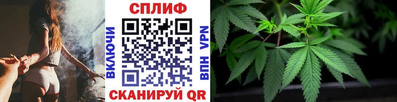 Бошки Шишки индика  Дубовка 